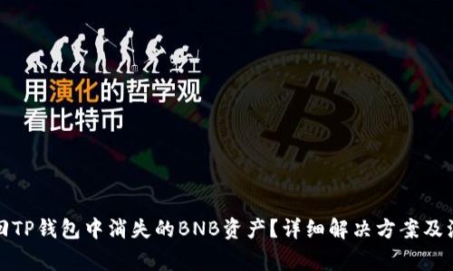 如何找回TP钱包中消失的BNB资产？详细解决方案及注意事项