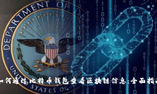 如何通过比特币钱包查看区块链信息：全面指南