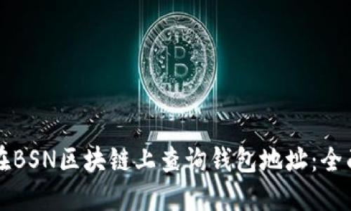 如何在BSN区块链上查询钱包地址：全面指南