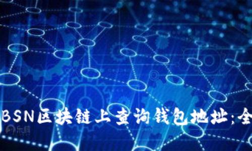 如何在BSN区块链上查询钱包地址：全面指南