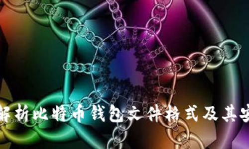 全面解析比特币钱包文件格式及其安全性