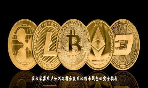 国内苹果用户如何选择和使用比特币钱包的完全指南