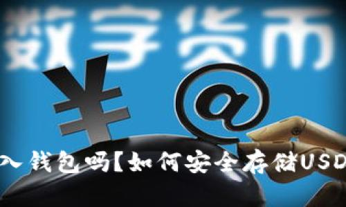 USDT可以放入钱包吗？如何安全存储USDT的全面指南